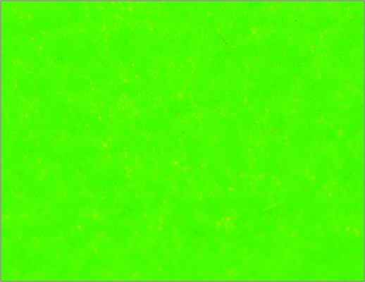 Китай №102 1 * 2,5 м поезд макетов пользовательского модель здания материалов нейлон дерном травой поставщик